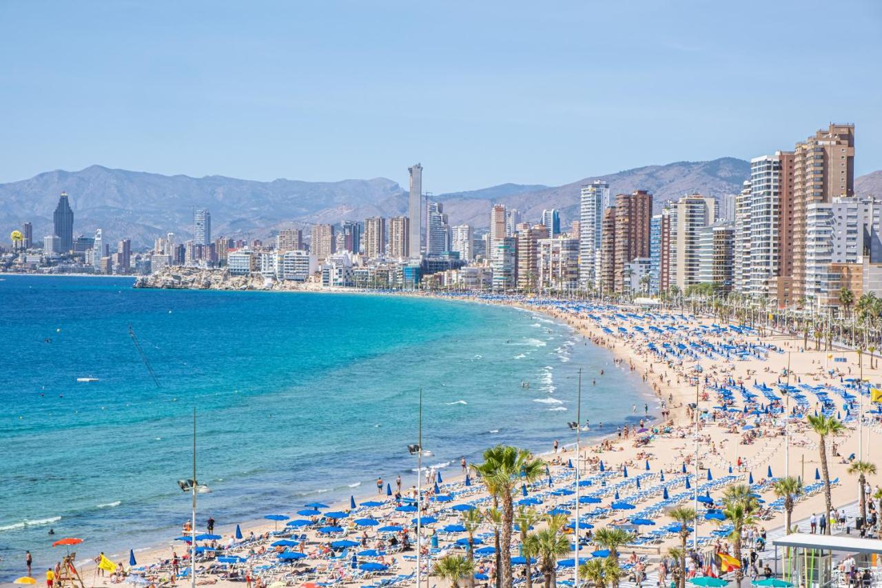Albatros 13-8 Estudio Levante Apartament Benidorm
